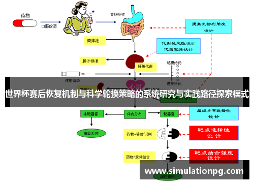 世界杯赛后恢复机制与科学轮换策略的系统研究与实践路径探索模式